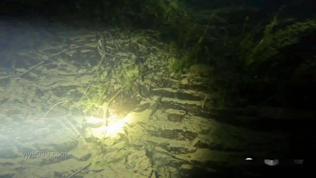 北京地下室大鱼池探秘，城市中的水下奇观
